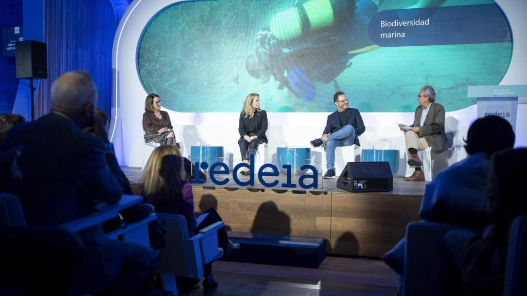 Mesa de 'Biodiversidad marina'. De izquierda a derecha: María Jesús Rodríguez de Sancho, Theresa Zabell Lucas, Ignasi Ferrer Pellicer y Antonio Calvo Roy.