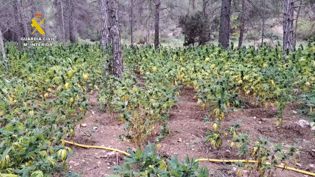 Operación 'Shikoni'. Fuente: Guardia Civil.