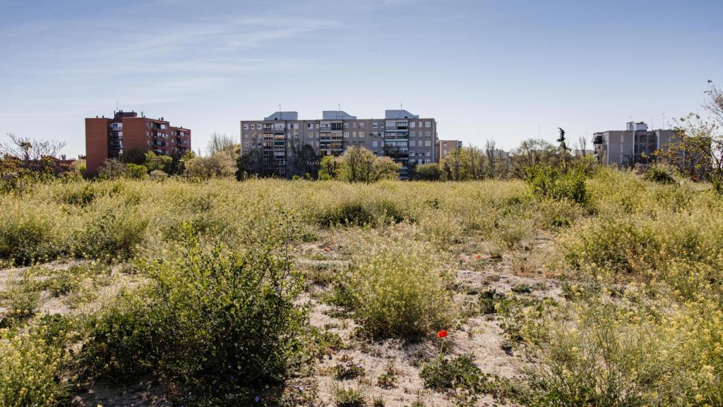 Los terrenos de la antigua cárcel de Carabanchel donde se van a construir viviendas.