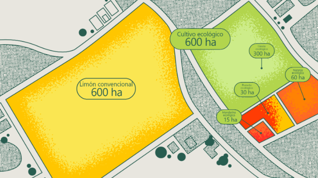 Un plano de los cultivos de Limonar de Santomera.