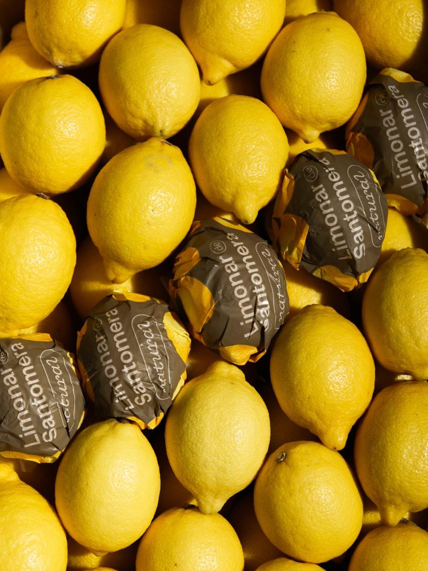 Un montón de limones de Limonar de Santomera.