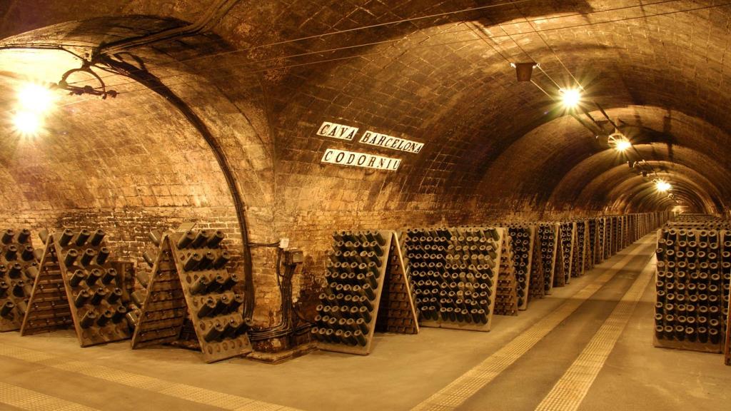 Bodega de Codorníu.