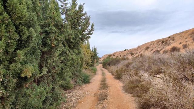 Uno de los paisajes por el cual transcurre el camino.