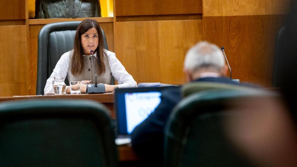 La consejera de Medio Ambiente y Movilidad, Tatiana Gaudes.