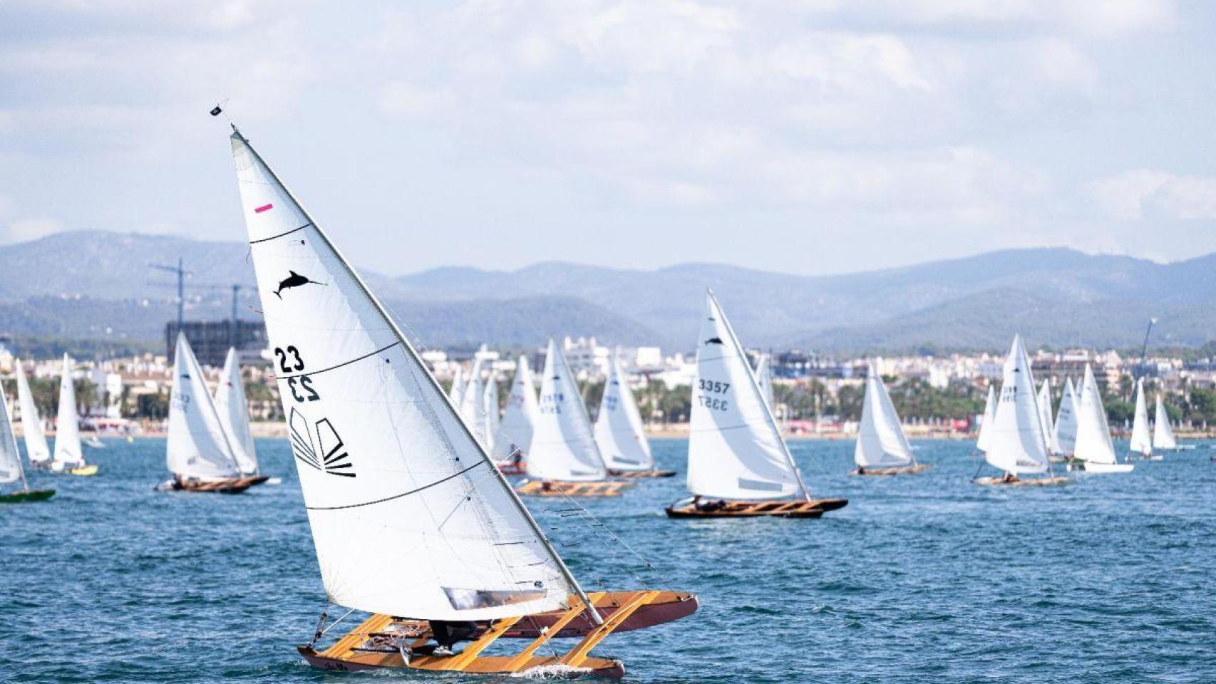 La Regata de los 350 Patines de Vela