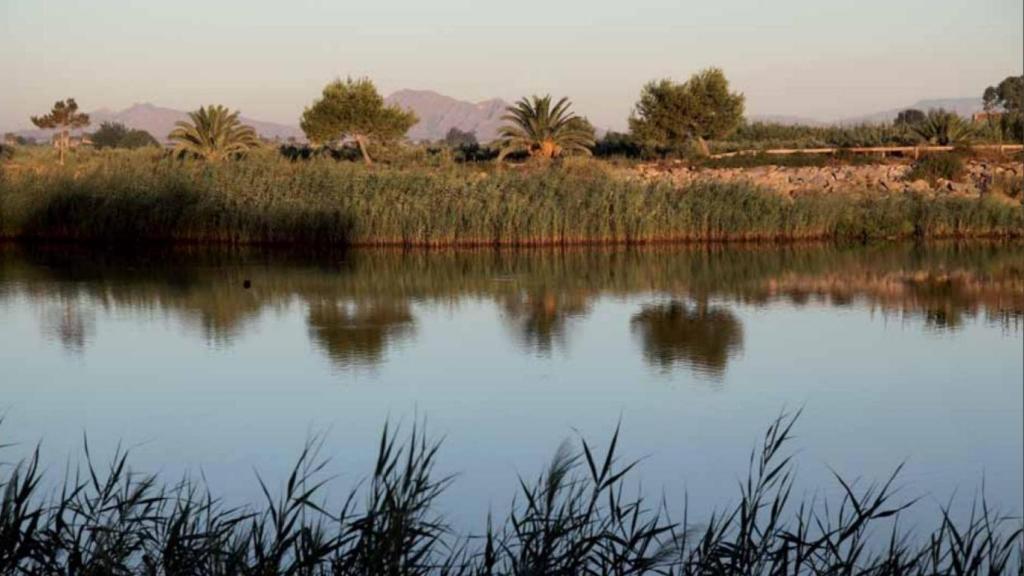 El río Segura, cerca de su desembocadura en Guardamar.