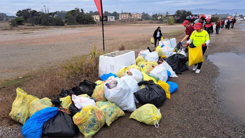 Una parte de la basura recogida.