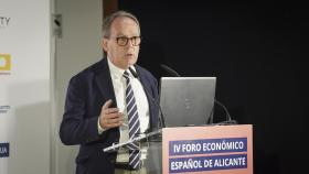 El presidente del Colegio Territorial de Arquitectos de Alicante, Emilio Vicedo.