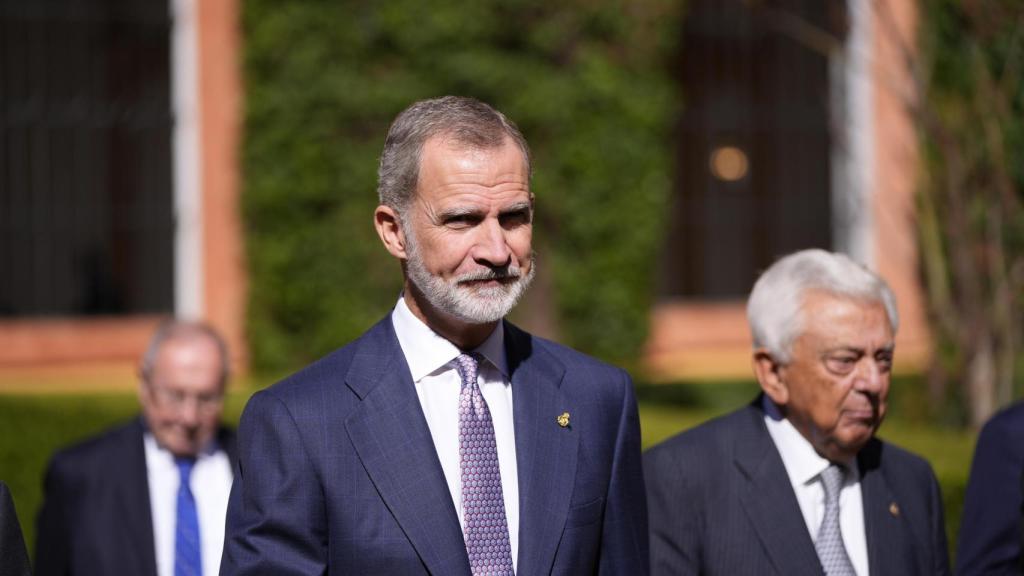 Felipe VI, en la entrega de la Distinción de Honor de los Premios Iberoamericanos Torre del Oro en el Real Alcázar de Sevilla.