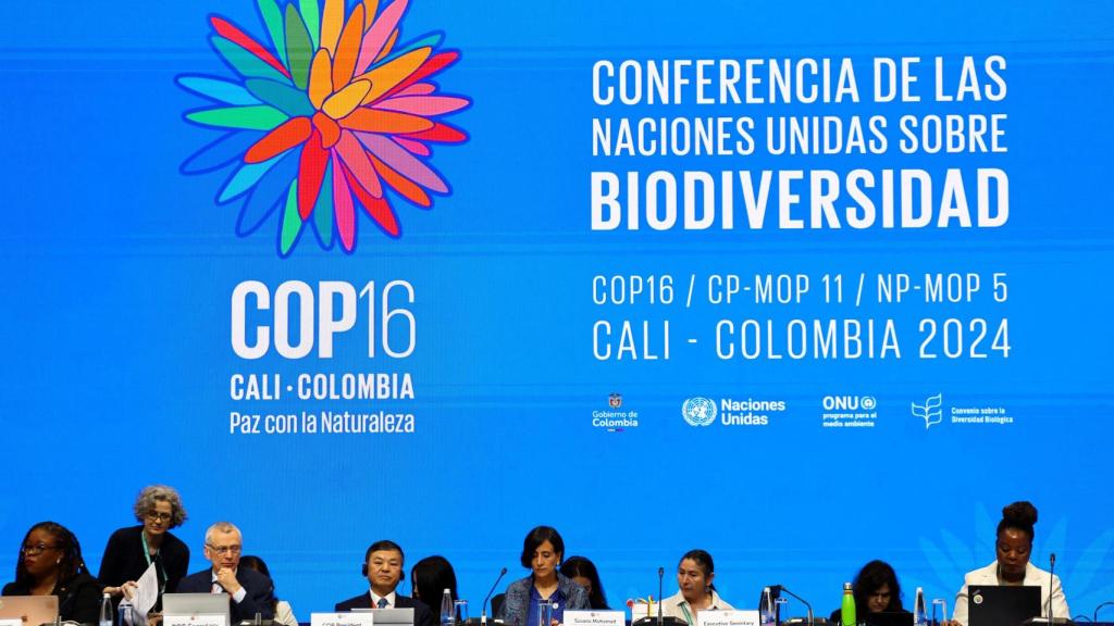 Evento de apetura de la COP 16