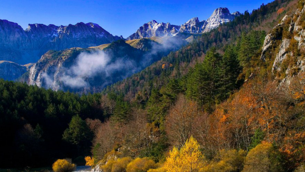 Selva de Oza, Huesca.