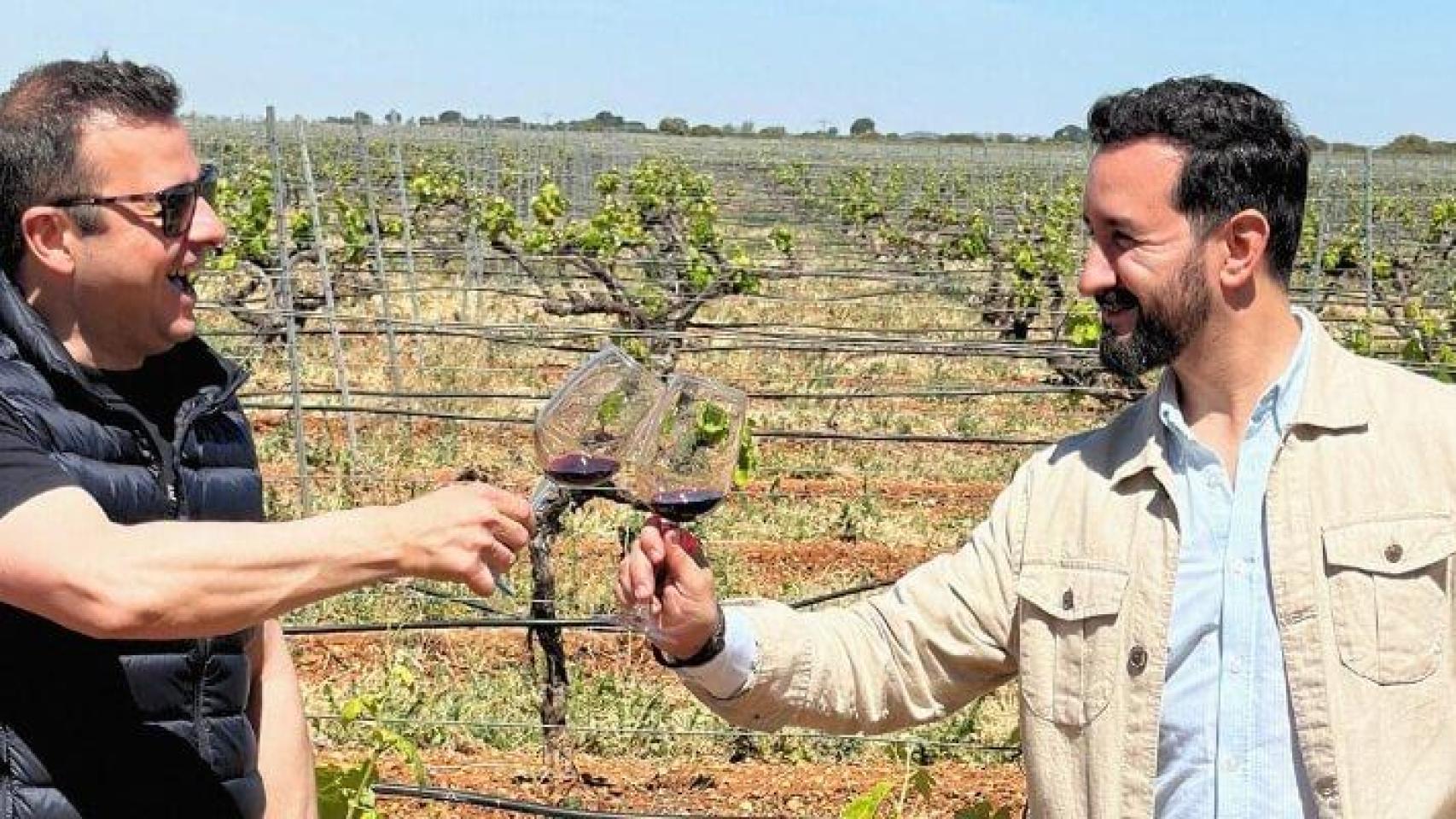 Tres vinos de Toledo para competir sin complejos nacidos de una alianza entre dos tipos brillantes