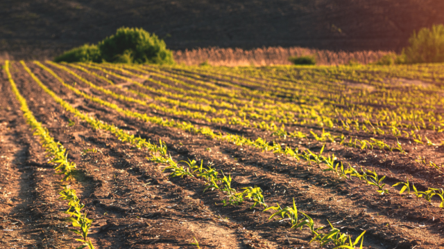 Los beneficios del biometano contra el cambio climático y a la fertilización de los campos