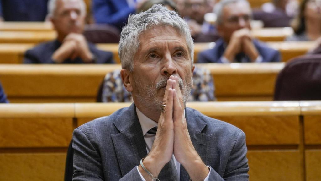 Fernando Grande-Marlaska, ministro del Interior, durante una sesión de control al Gobierno en el Senado.