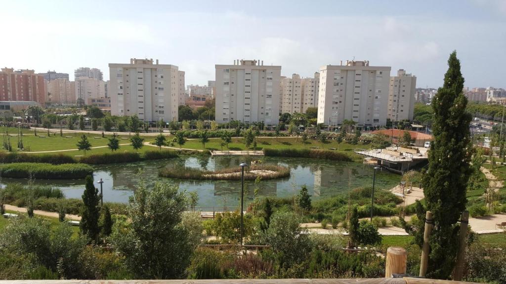 Parque Marjal (Alicante). EE