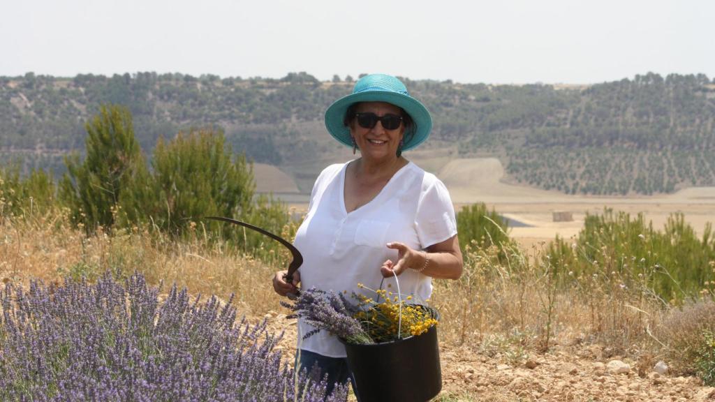 Concha en los campos de lavanda de Tiedra