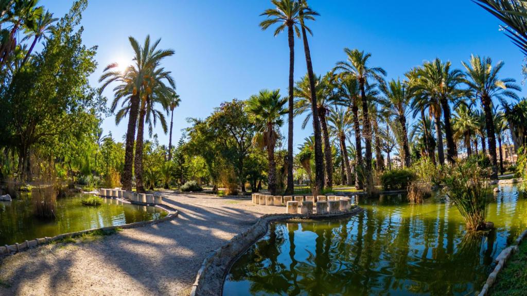 El Palmeral de Elche, en una imagen de Shutterstock.