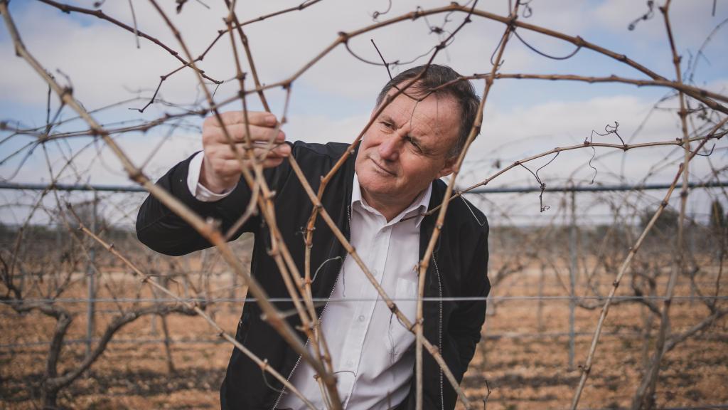 Desde 2008, Hilario García ha cuidado sus viñedos solo para producir el vino después.