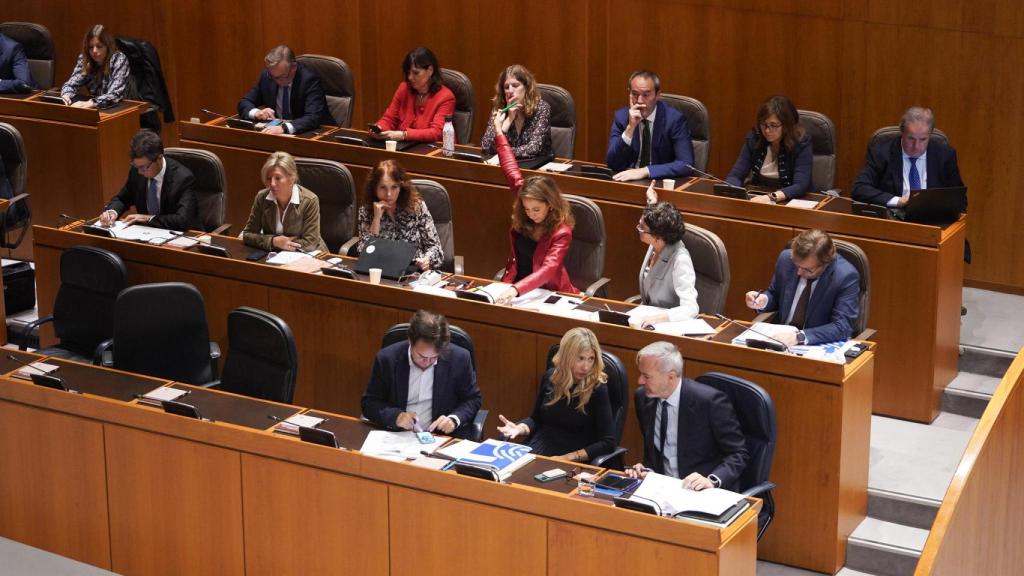 María Navarro (PP), durante una de las votaciones de este jueves.