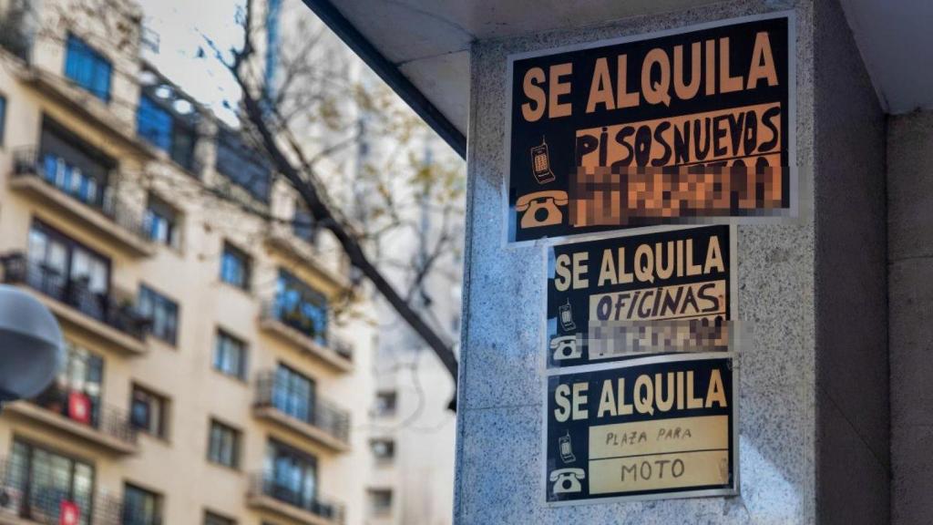 Carteles de 'Se alquila' pegados en un edificio en Madrid.