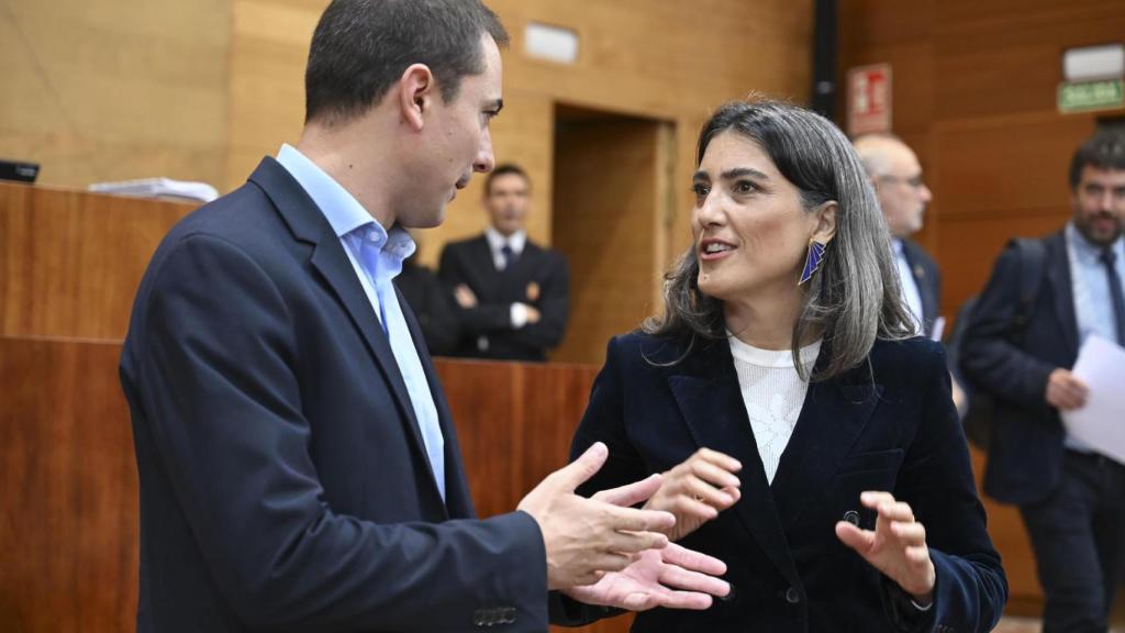 Juan Lobato habla con Manuela Bergerot en la Asamblea de Madrid.