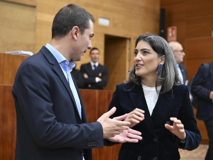 Juan Lobato habla con Manuela Bergerot en la Asamblea de Madrid.