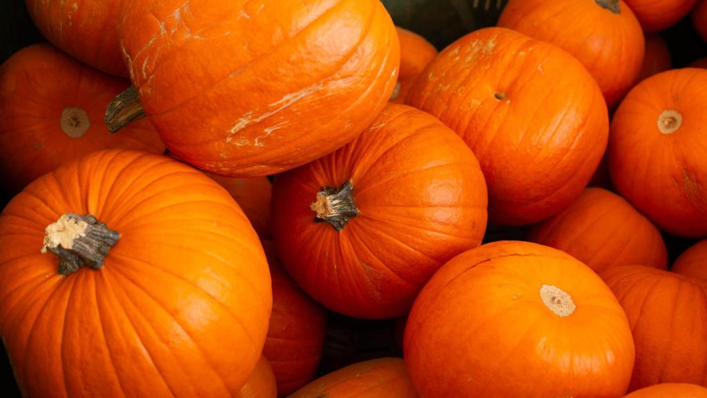 Calabaza de otoño