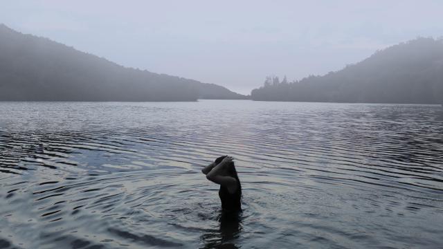 Niebla de Blanca Pascual Bermejo