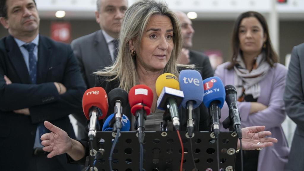 Milagros Tolón, delegada del Gobierno en Castilla-La Mancha, este viernes ante los medios de comunicación.