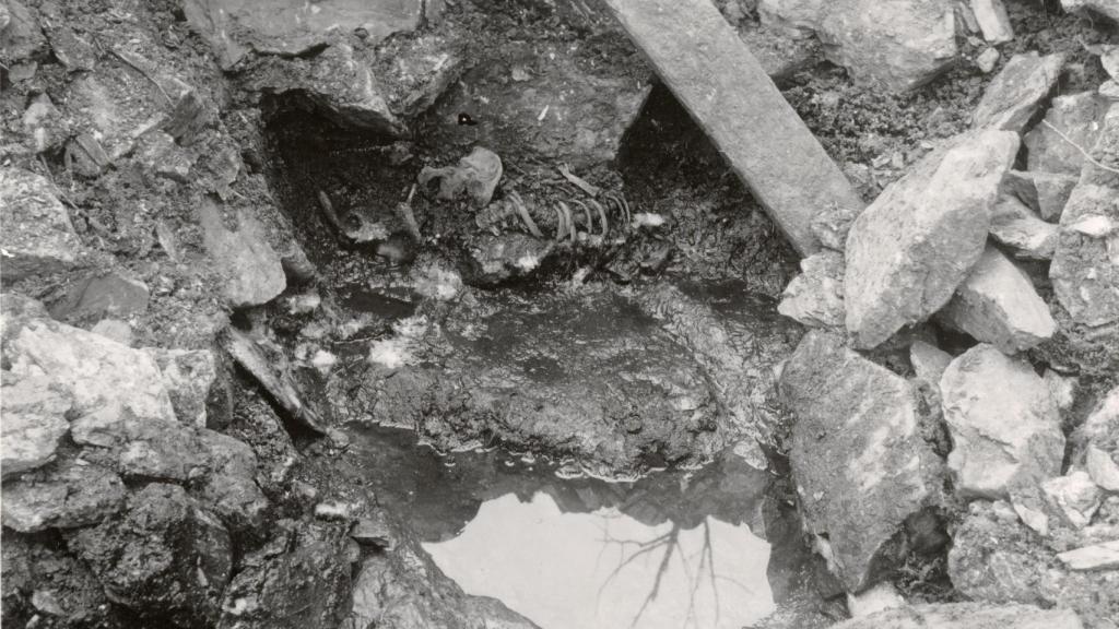 Imagen de las excavaciones del esqueleto del hombre del pozo en 1938.