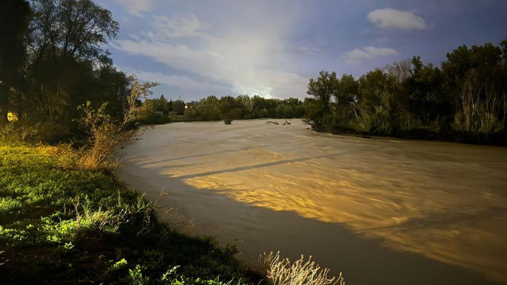 Así baja el río Gállego a su paso por Zaragoza