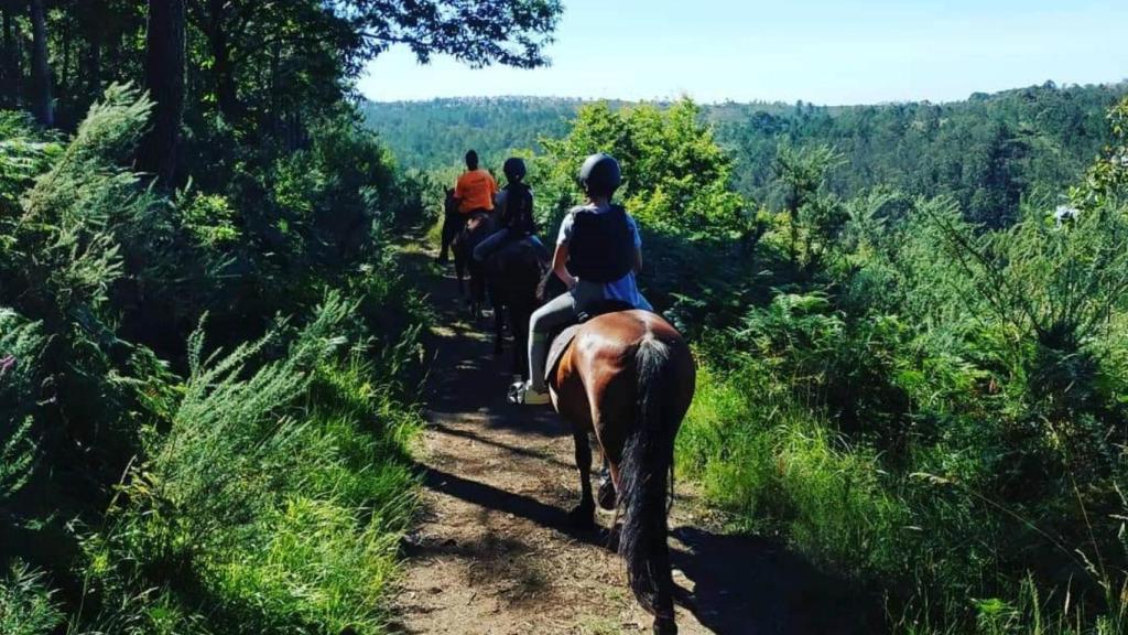 De la playa a la montaña: rutas a caballo para perderse cerca de A Coruña