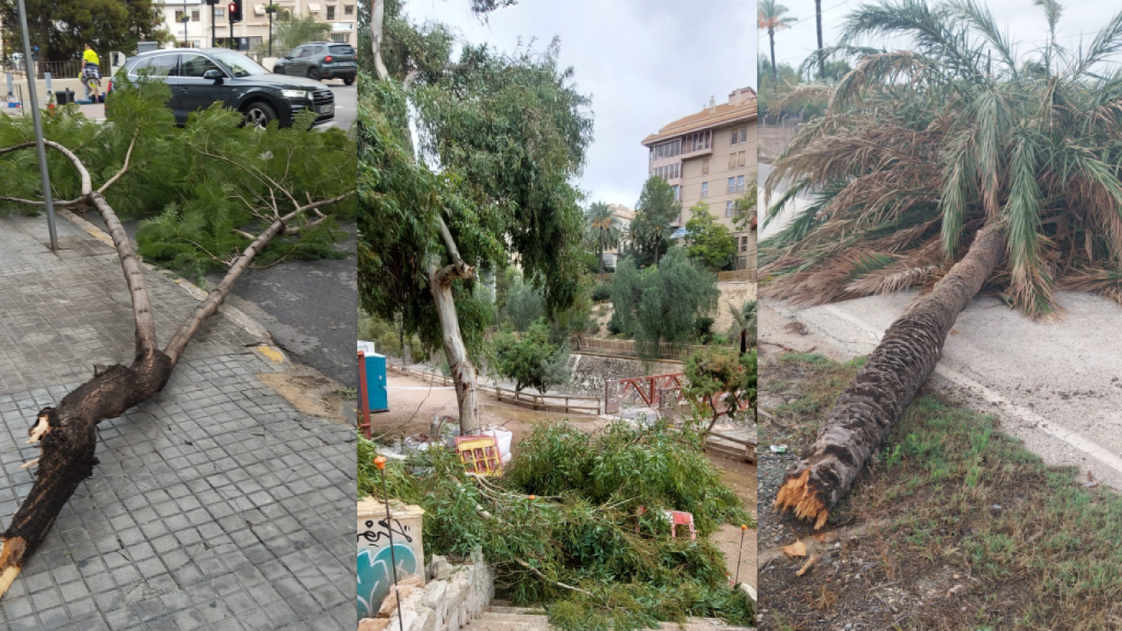 Imágenes de la DANA en Elche.