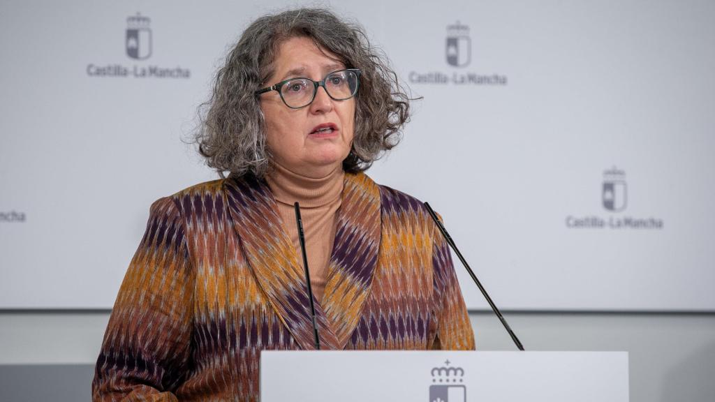 La consejera de Desarrollo Sostenible, Mercedes Gómez, este martes en rueda de prensa.