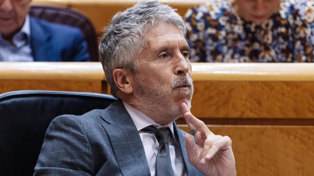 El ministro del Interior, Fernando Grande-Marlaska, en un pleno en el Senado.