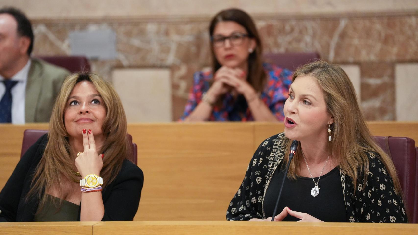 La portavoz de Vox, Cristina Peláez, junto a la popular Evelia Rincón en un Pleno del Ayuntamiento de Sevilla.