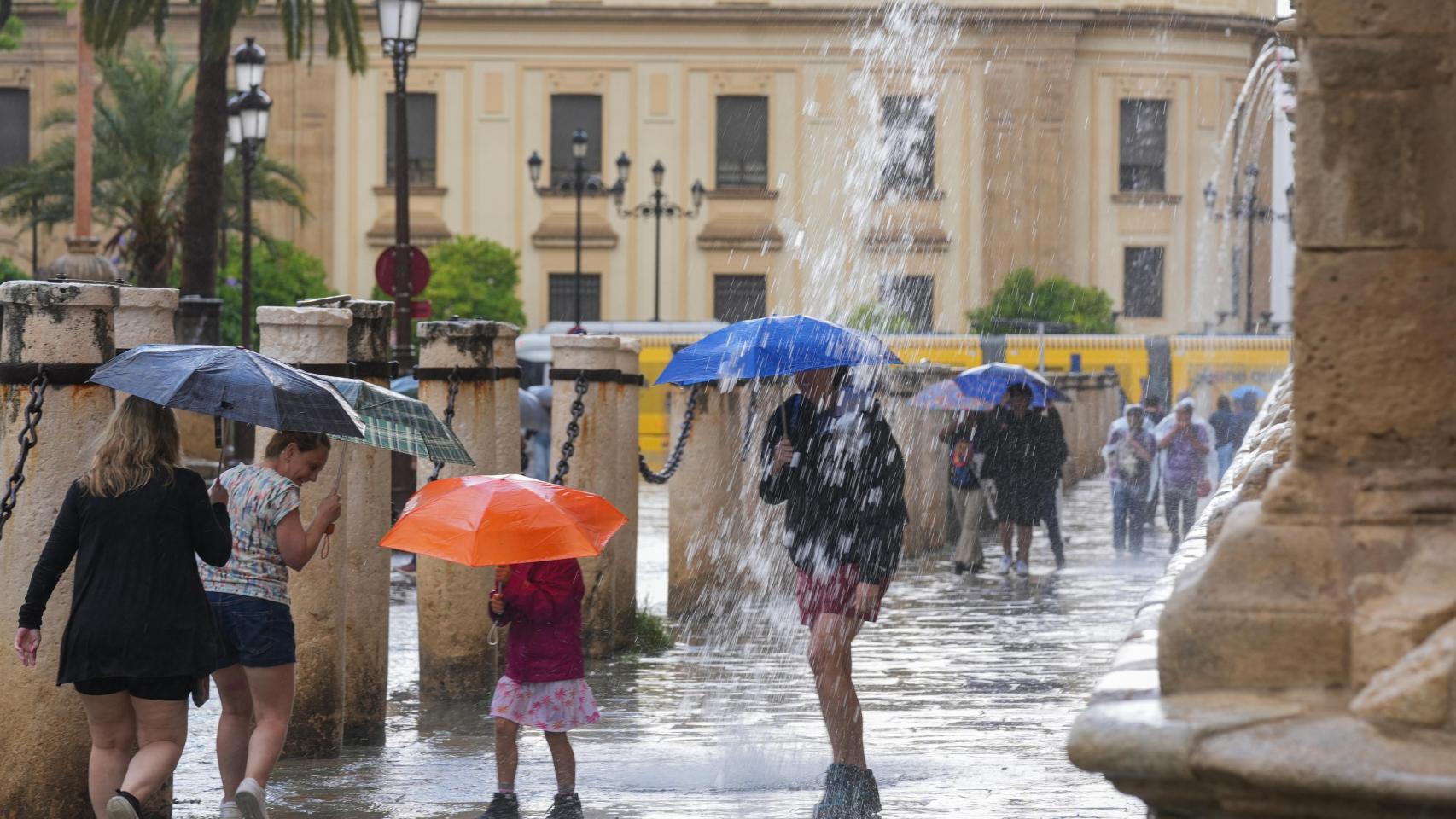 Varias personas se protegen de la lluvia junto a la Catedral de Sevilla.