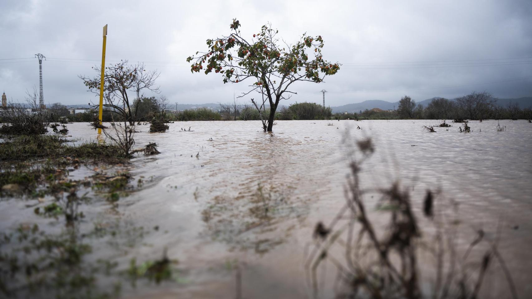 Imagen de las lluvias caídas en la comarca de La Ribera de Valencia.