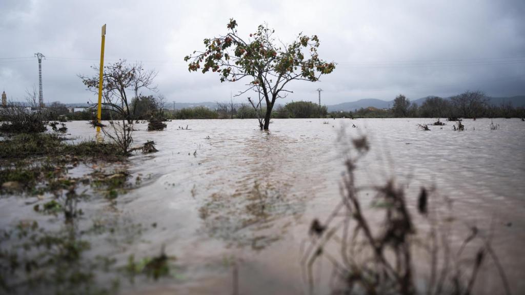 Imagen de las lluvias caídas en la comarca de La Ribera de Valencia.