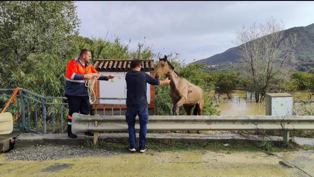 El final feliz del rescate.