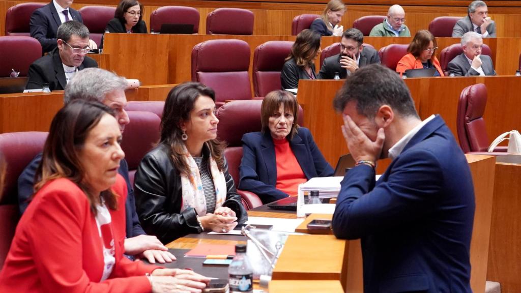 La secretaria general del Grupo Socialista en las Cortes, Rosa Rubio, y el portavoz, Luis Tudanca, en el pleno de este miércoles