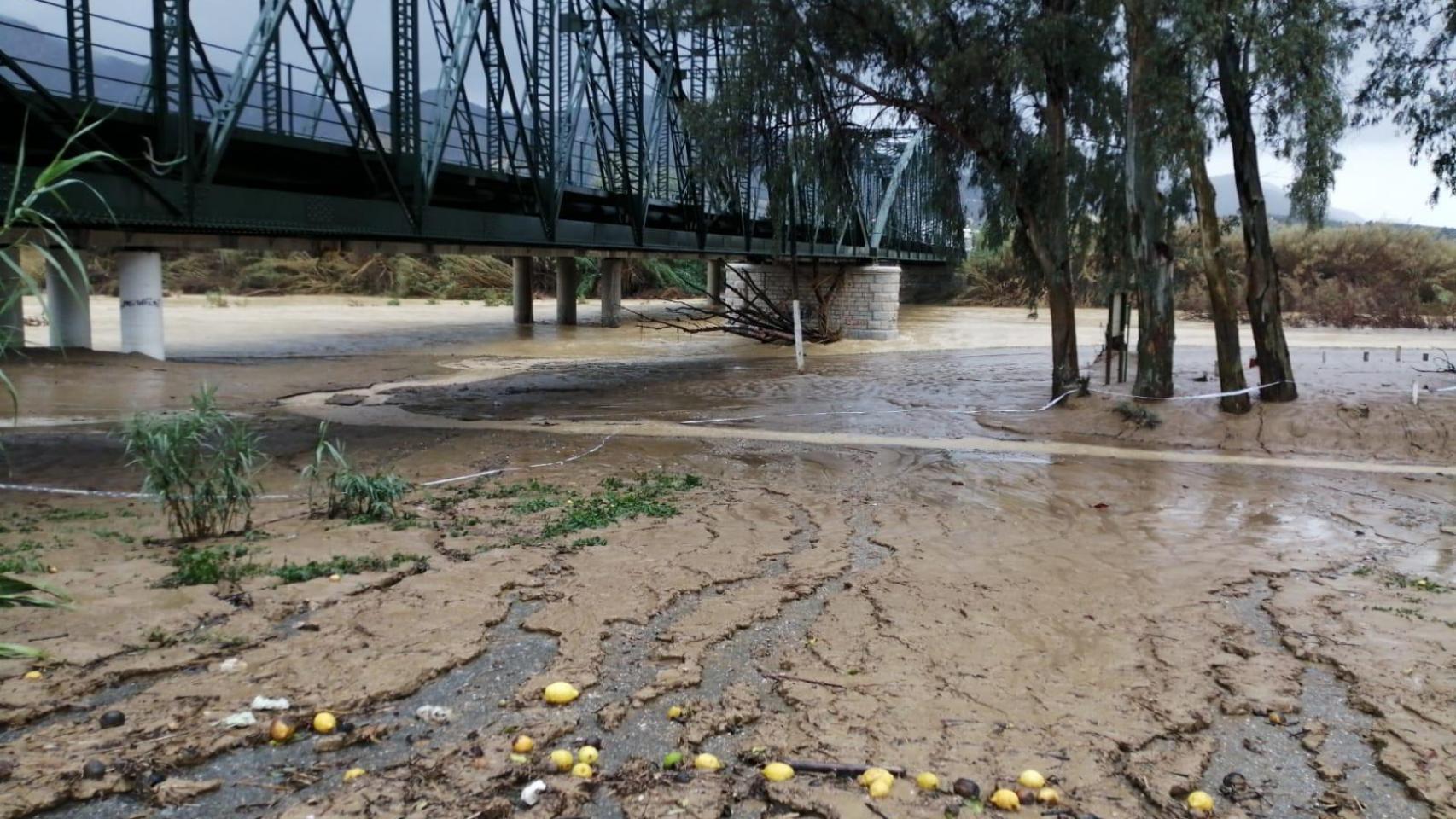 El estado del río Guadalhorce los últimos días.