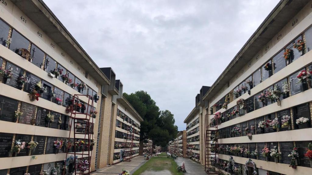 El cementerio de Torrero lleno de flores.