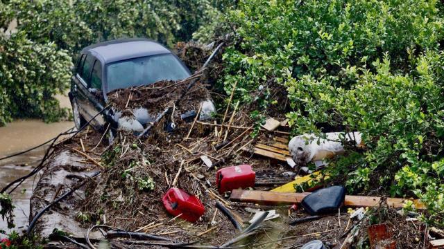 Un coche destrozado en una zona con árboles de cítricos.