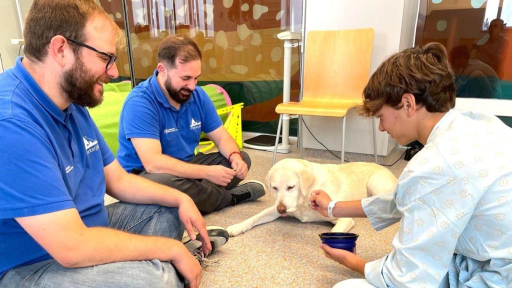 Empieza en A Coruña un programa de ocio con perros de terapia para menores hospitalizados