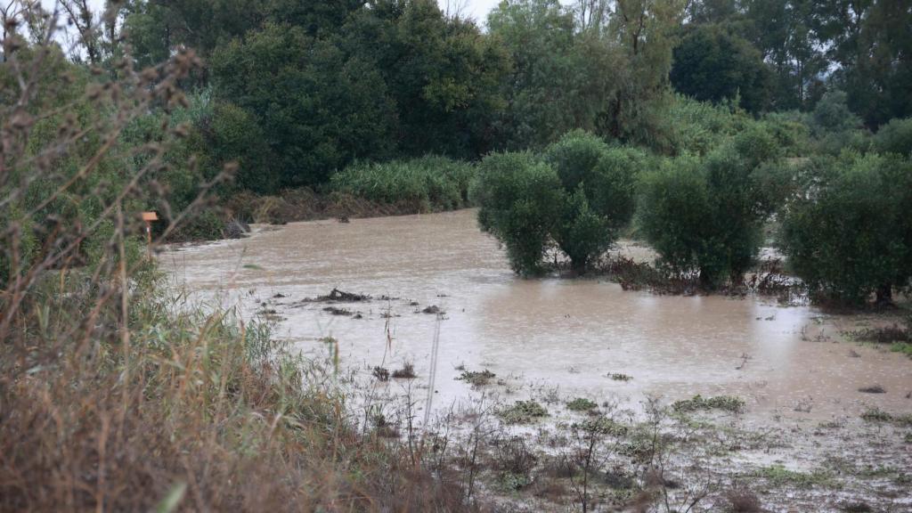 El río Guadaíra, a su paso por Arahal, tras el paso de la DANA.