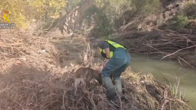 Foto: Guardia Civil.