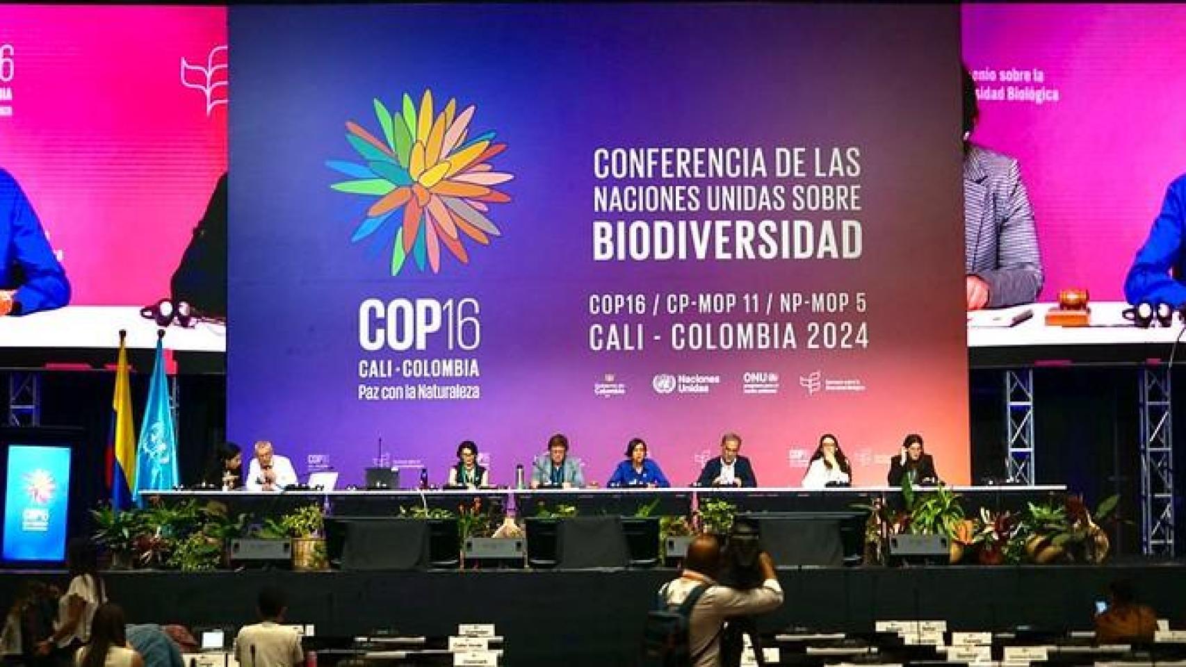 Sesión plenaria de la COP 16