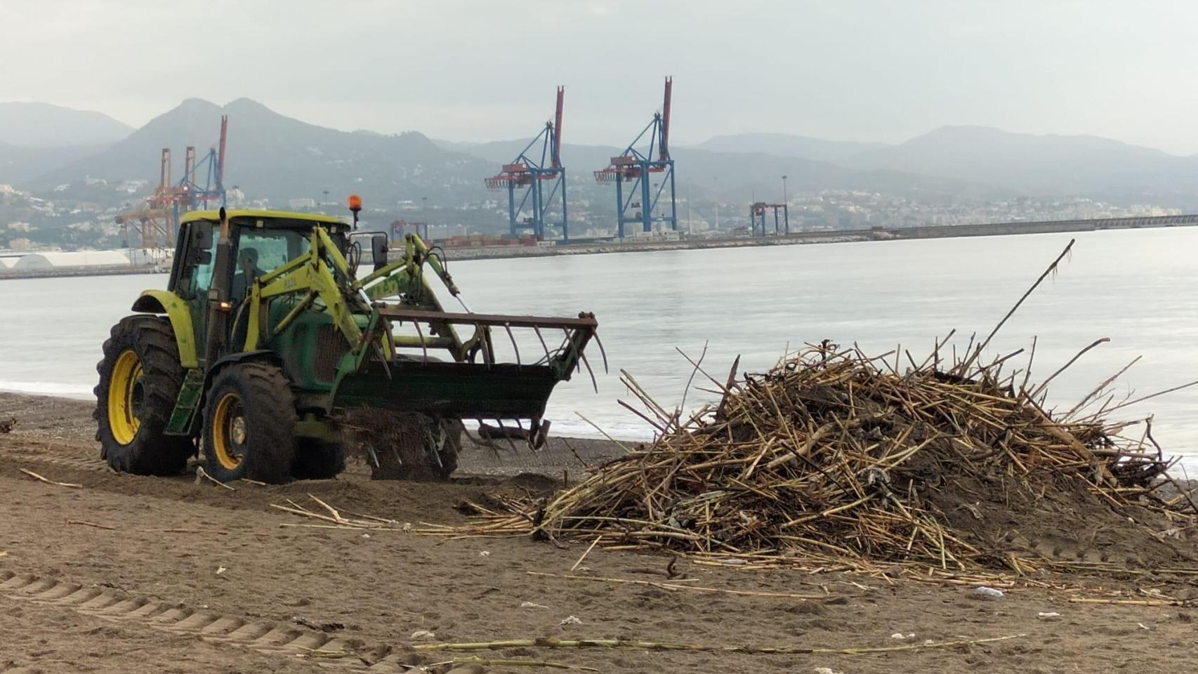 Las playas de Málaga empiezan a notar los efectos de la DANA: trabajan para retirar las cañas