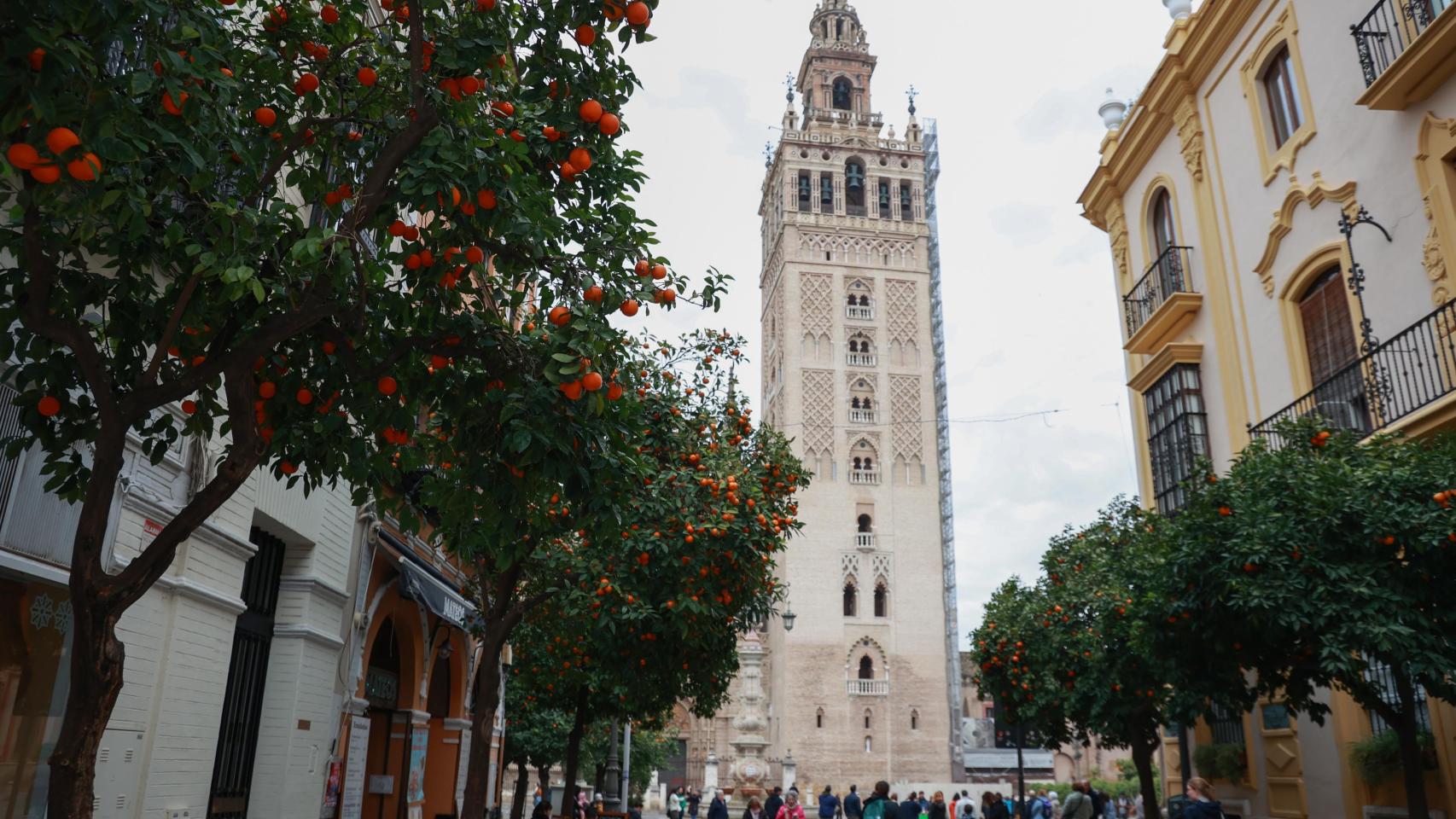 Vista de la Giralda desde la calle Mateos Gago.